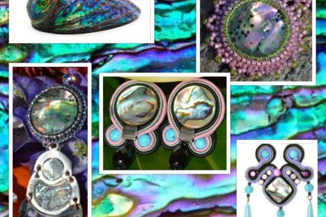 Abelone Paua Shell