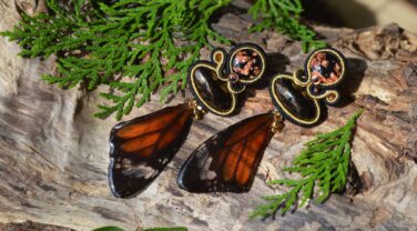 DSC_9181 Lacewings liggend 96dpi DSC_9181 Lacewings liggend 96dpi